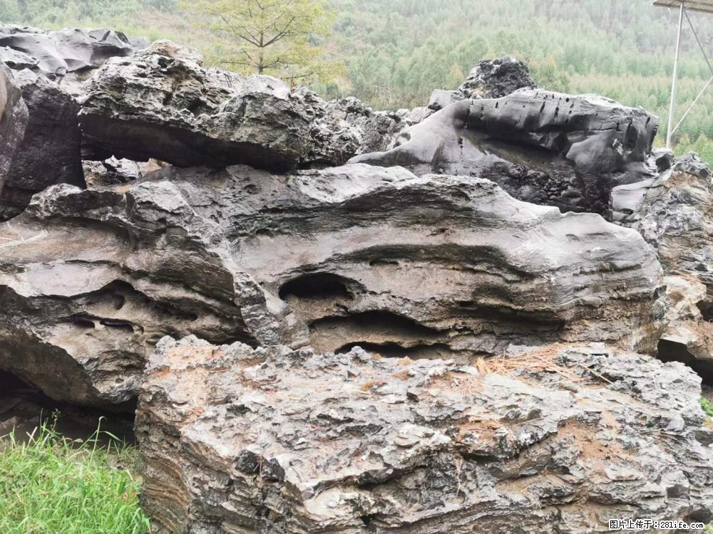 风景石、假山石大量有货，有需要的欢迎联系 - 新手上路 - 大理生活社区 - 大理28生活网 dali.28life.net