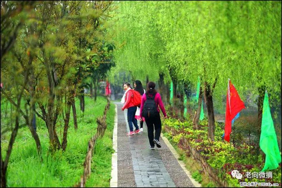 【春天,广西桂林灌阳县向您发出邀请!】江口老街又逢春 - 游山玩水 - 大理生活社区 - 大理28生活网 dali.28life.net