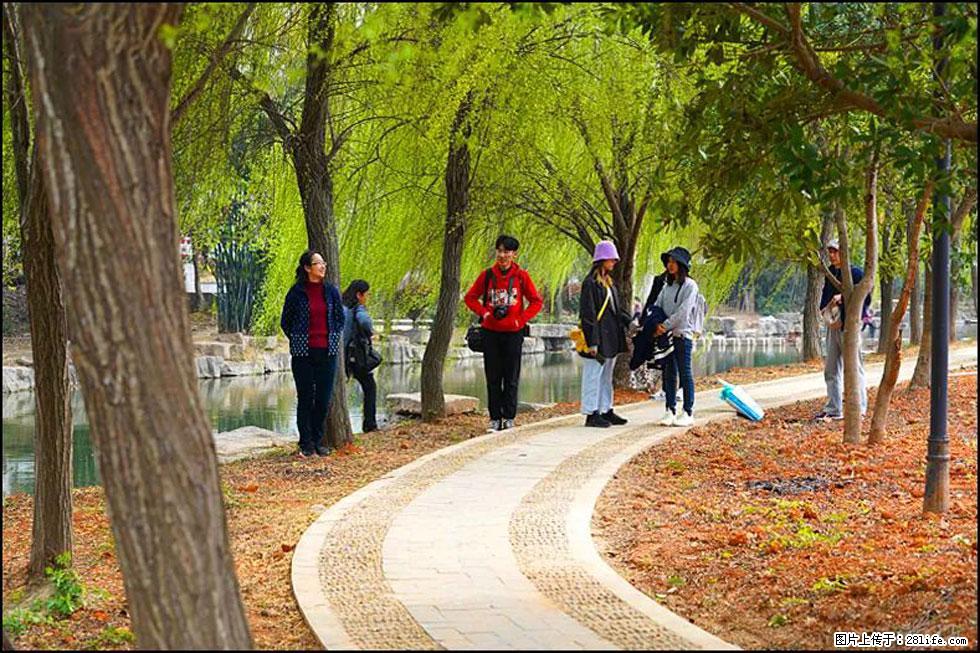 【春天,广西桂林灌阳县向您发出邀请!】江口老街又逢春 - 游山玩水 - 大理生活社区 - 大理28生活网 dali.28life.net