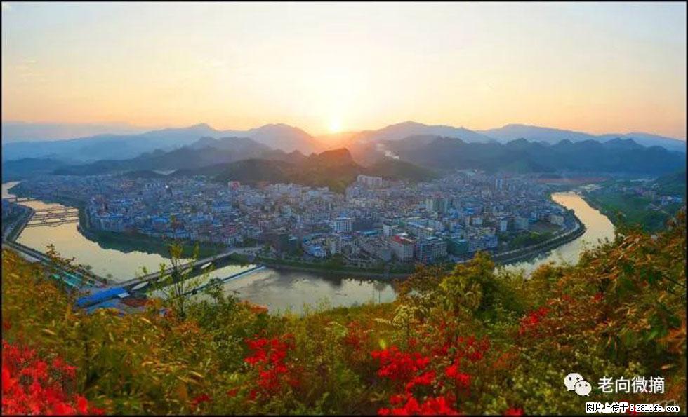 【春天，广西桂林灌阳县向您发出邀请！】登麒麟山，相约映山红 - 游山玩水 - 大理生活社区 - 大理28生活网 dali.28life.net