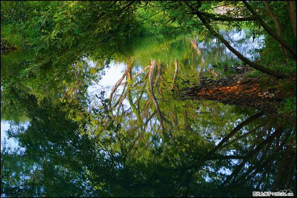 【春天，广西桂林灌阳县向您发出邀请！】熊家寨湿地公园 - 游山玩水 - 大理生活社区 - 大理28生活网 dali.28life.net