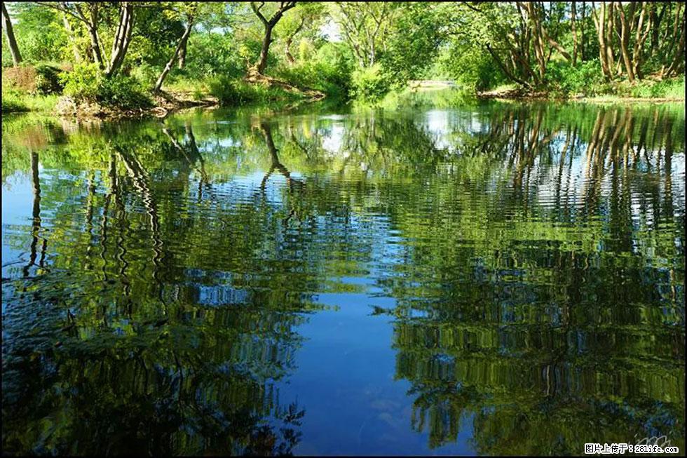 【春天，广西桂林灌阳县向您发出邀请！】熊家寨湿地公园 - 游山玩水 - 大理生活社区 - 大理28生活网 dali.28life.net