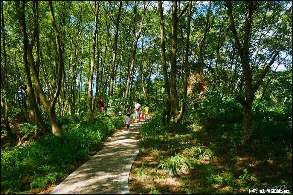 【春天，广西桂林灌阳县向您发出邀请！】熊家寨湿地公园 - 游山玩水 - 大理生活社区 - 大理28生活网 dali.28life.net