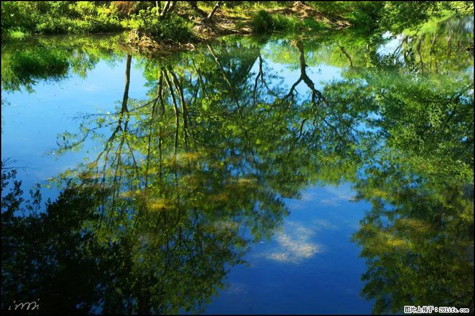 【春天，广西桂林灌阳县向您发出邀请！】熊家寨湿地公园 - 游山玩水 - 大理生活社区 - 大理28生活网 dali.28life.net