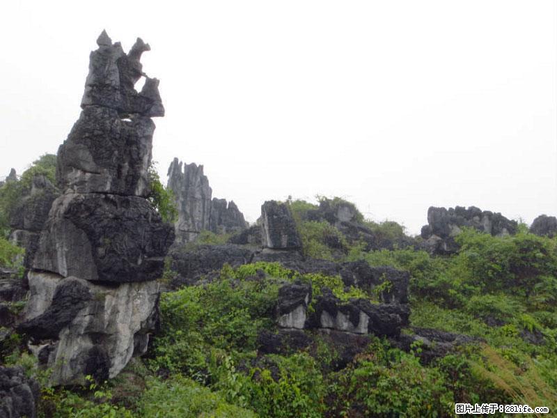 桂林旅游名城景点：灌阳文市石林 - 游山玩水 - 大理生活社区 - 大理28生活网 dali.28life.net