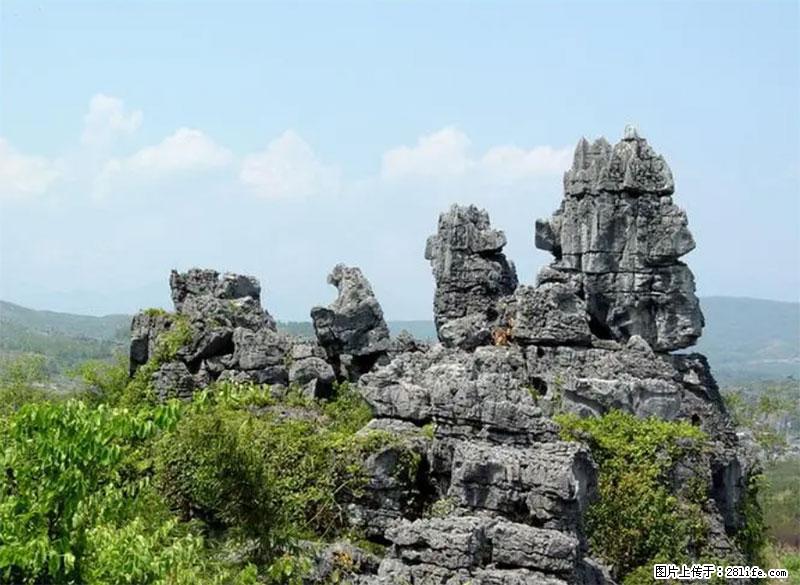 桂林旅游名城景点：灌阳文市石林 - 游山玩水 - 大理生活社区 - 大理28生活网 dali.28life.net