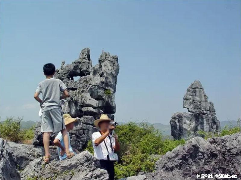 桂林旅游名城景点：灌阳文市石林 - 游山玩水 - 大理生活社区 - 大理28生活网 dali.28life.net