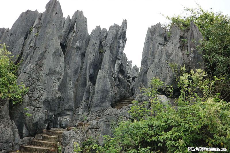桂林旅游名城景点：灌阳文市石林 - 游山玩水 - 大理生活社区 - 大理28生活网 dali.28life.net