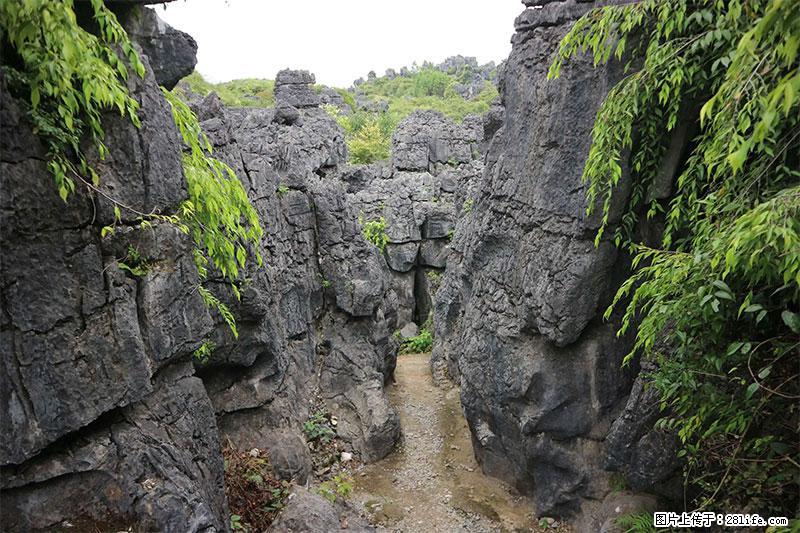 桂林旅游名城景点：灌阳文市石林 - 游山玩水 - 大理生活社区 - 大理28生活网 dali.28life.net