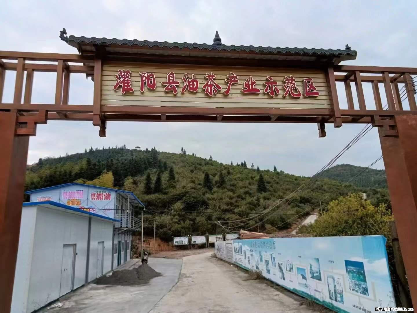【灌阳县油茶产业示范区】一个有着充实的精神生活的人，对待身外之物自会有一种淡泊的态度 - 美食天地 - 大理生活社区 - 大理28生活网 dali.28life.net