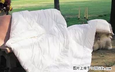 被子有异味？只要这样做，比晒太阳还强100倍！ - 家居生活 - 大理生活社区 - 大理28生活网 dali.28life.net