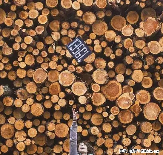 辞掉工作周游世界？现在他们在洗厕所…… - 游山玩水 - 大理生活社区 - 大理28生活网 dali.28life.net