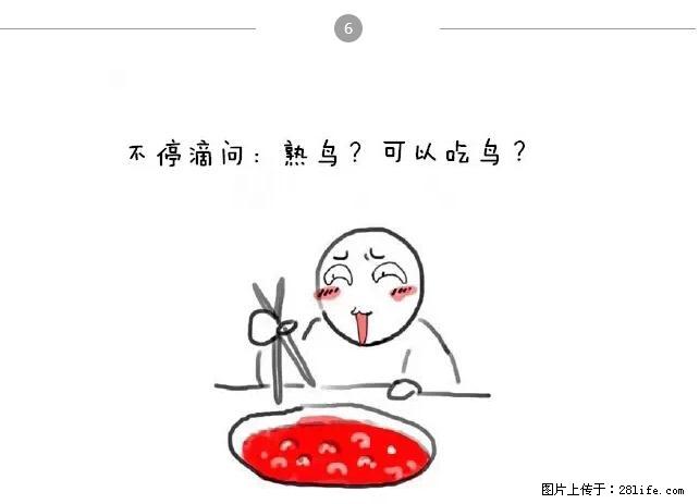 千万不要和这9种哈卵一起吃火锅！ - 美食天地 - 大理生活社区 - 大理28生活网 dali.28life.net