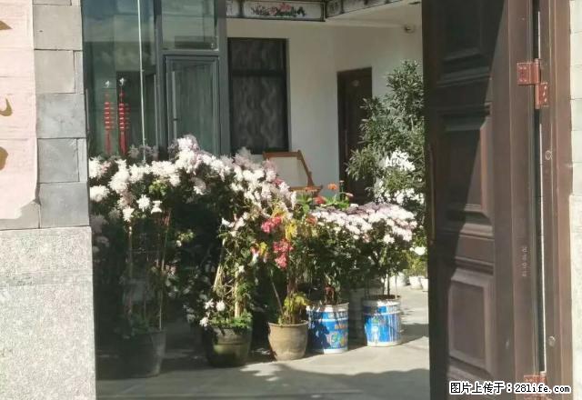 大理古城玉洱路客栈出租..接手即可经营 - 房屋出租 - 房屋租售 - 大理分类信息 - 大理28生活网 dali.28life.net