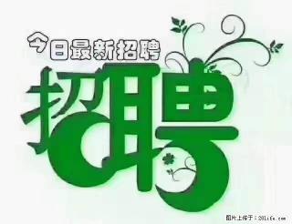 【招聘摄像师】待遇：试用期6000元/月，转正7000元/月+五险一金+餐补+节日福利+奖金 - 大理28生活网 dali.28life.net