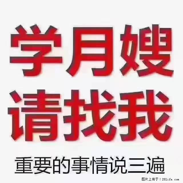【招聘】月嫂，上海徐汇区 - 职场交流 - 大理生活社区 - 大理28生活网 dali.28life.net