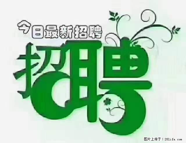 上海隔离酒店招人：55岁以下 男女不限 - 职场交流 - 大理生活社区 - 大理28生活网 dali.28life.net