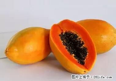 晕车、脚气、牙齿变黄、皮肤粗糙？学会这些三分钟搞定！ - 大理生活资讯 - 大理28生活网 dali.28life.net