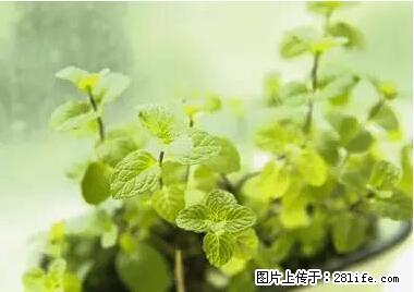 晕车、脚气、牙齿变黄、皮肤粗糙？学会这些三分钟搞定！ - 大理生活资讯 - 大理28生活网 dali.28life.net