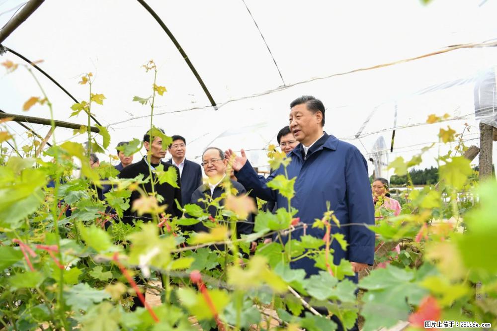 习近平赴广西考察调研 - 大理生活资讯 - 大理28生活网 dali.28life.net