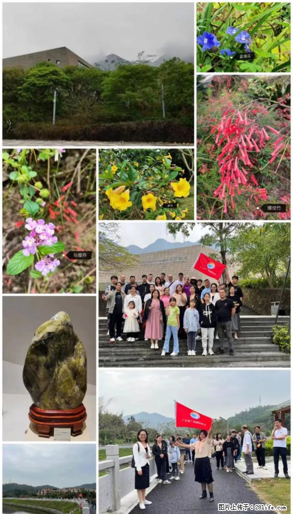“粤灌文化 美好生活”油茶文化主题活动在广东深圳成功举办 - 大理生活资讯 - 大理28生活网 dali.28life.net