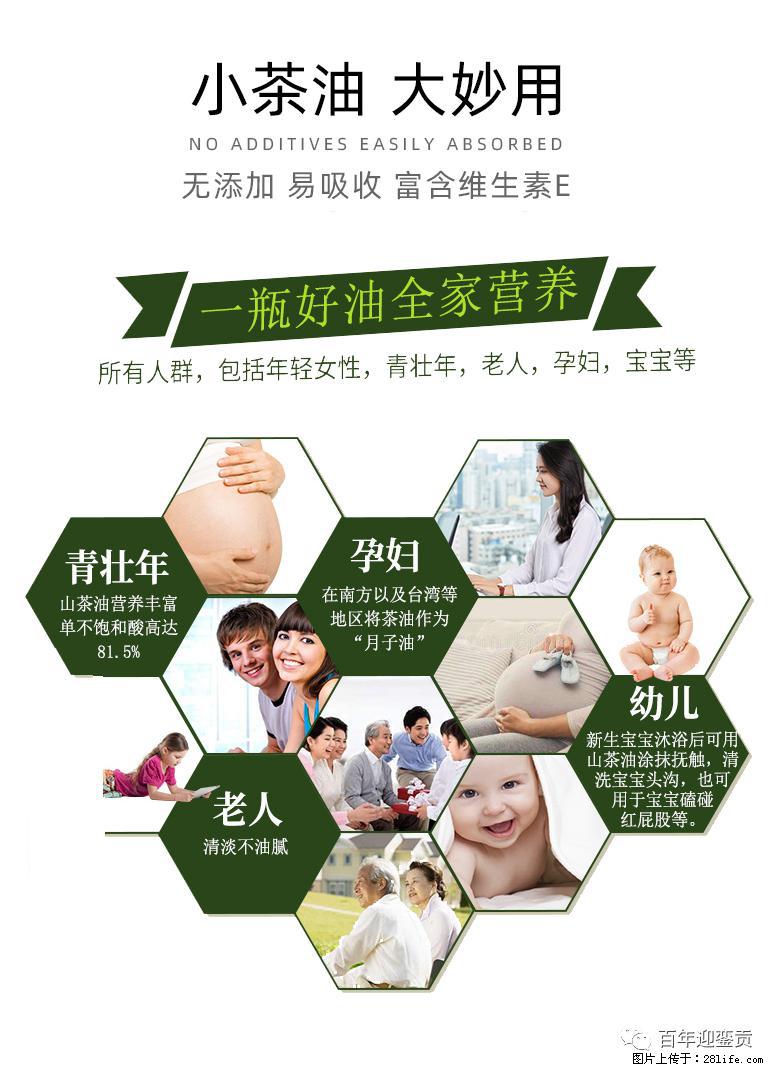 世界没有真相，只有认知，最好的食用油是中国的山茶油！ - 大理生活资讯 - 大理28生活网 dali.28life.net