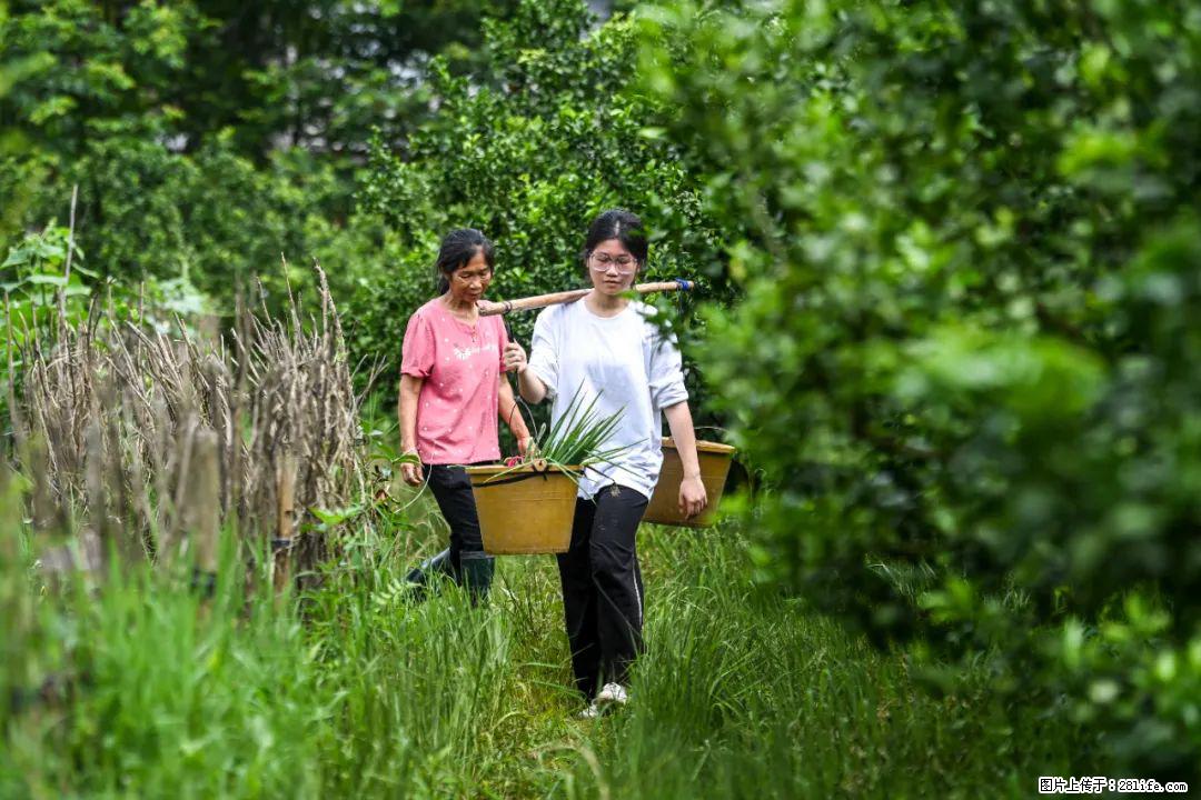 全网追的“扁担女孩”，找了一份暑假工，时薪12元 - 大理生活资讯 - 大理28生活网 dali.28life.net