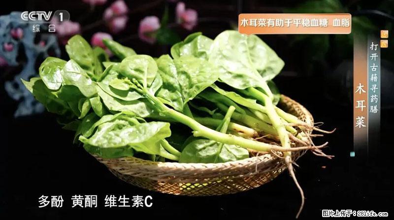 比牛奶补钙还厉害！凉血解毒、稳血糖...这菜冬天必吃，很多人却当草 - 大理生活资讯 - 大理28生活网 dali.28life.net
