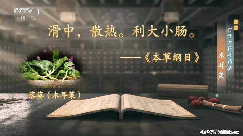 比牛奶补钙还厉害！凉血解毒、稳血糖...这菜冬天必吃，很多人却当草 - 大理生活资讯 - 大理28生活网 dali.28life.net