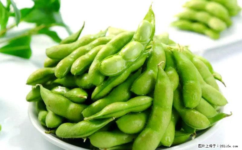 这些蔬菜是“天然钙片”，这6种被医生重点推荐 - 大理生活资讯 - 大理28生活网 dali.28life.net