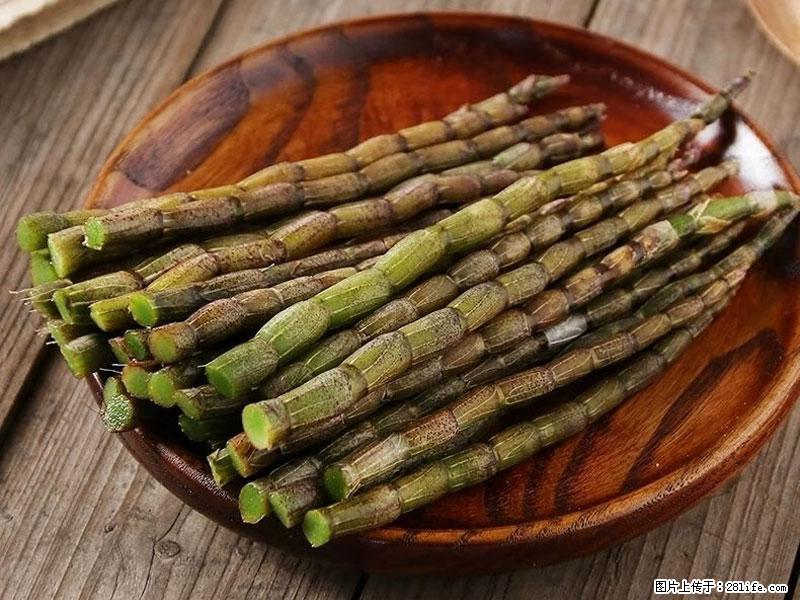 铁皮石斛的作用与功能主治 - 大理生活资讯 - 大理28生活网 dali.28life.net